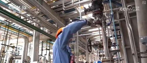 煉化工廠成鳥(niǎo)兒新家 綠色工業(yè)設(shè)計(jì)服務(wù)，盡顯工業(yè)之美